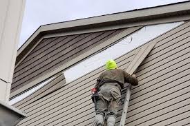 Best Custom Trim and Detailing for Siding  in Eloy, AZ